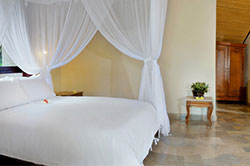 coral view bedroom
