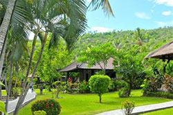 coral view guesthouse