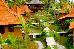 dragonfly village, bali
