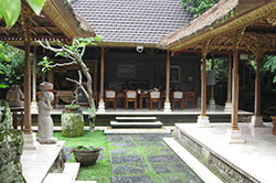 honeymoon guesthouse grounds