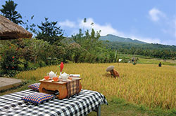 Puri Bagus Manggis, Bali
